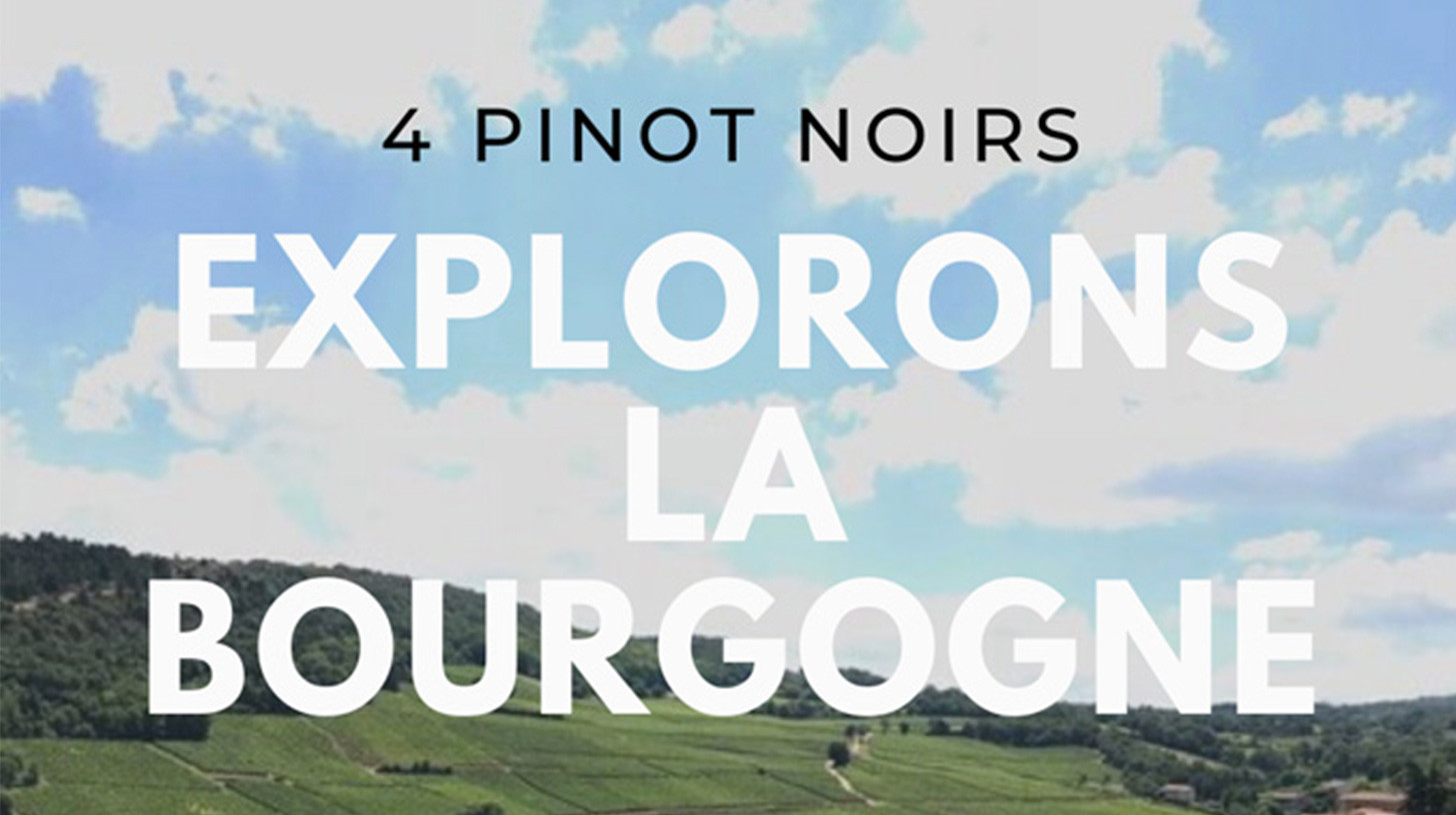 7 febbraio - Explorons la Bourgogne